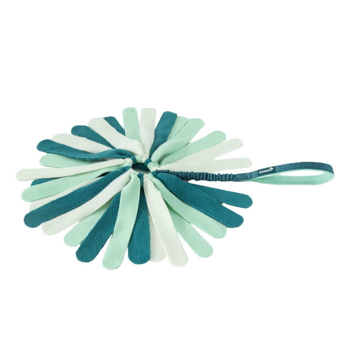 Coachi Puppy & Mini Tuggi Spider Verde Coachi Puppy & Mini Tuggi Spider Verde
