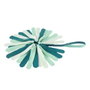 Coachi Puppy & Mini Tuggi Spider Verde