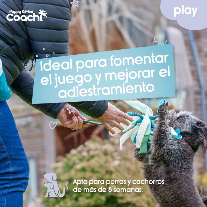 Coachi Puppy & Mini Tuggi Spider Verde Coachi Puppy & Mini Tuggi Spider Verde
