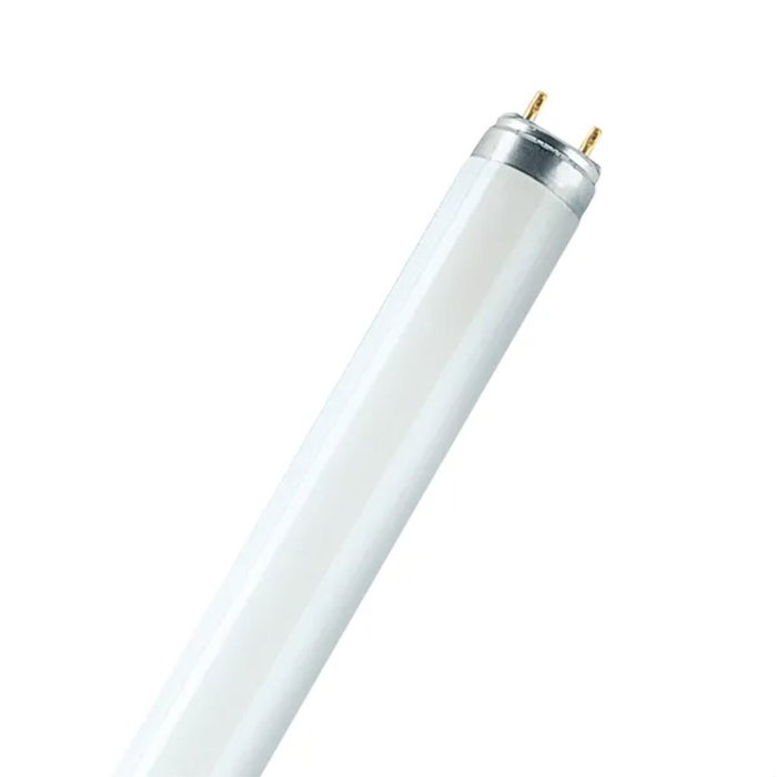 Osram Tubo fluorescente 36 W 6500 K 3150 lm T8 120 cm G13 luz fría Osram Tubo fluorescente 36 W 6500 K 3150 lm T8 120 cm G13 luz fría