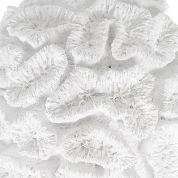 Ixia Figura Coral Blanco Resina Decoración 23 x 22 x 11 cm Ixia Figura Coral Blanco Resina Decoración 23 x 22 x 11 cm