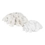 Ixia Figura Coral Blanco Resina Decoración 23 x 22 x 11 cm