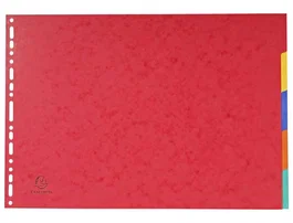 Exacompta Separadores Nature Future DIN A3 Colores