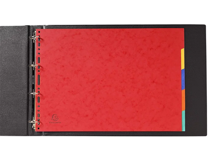 Exacompta Separadores Nature Future A3 Colores Surtidos