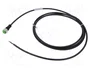MURRELEKTRONIK Cable para sensores M12 hembra recto 4 pines 2m