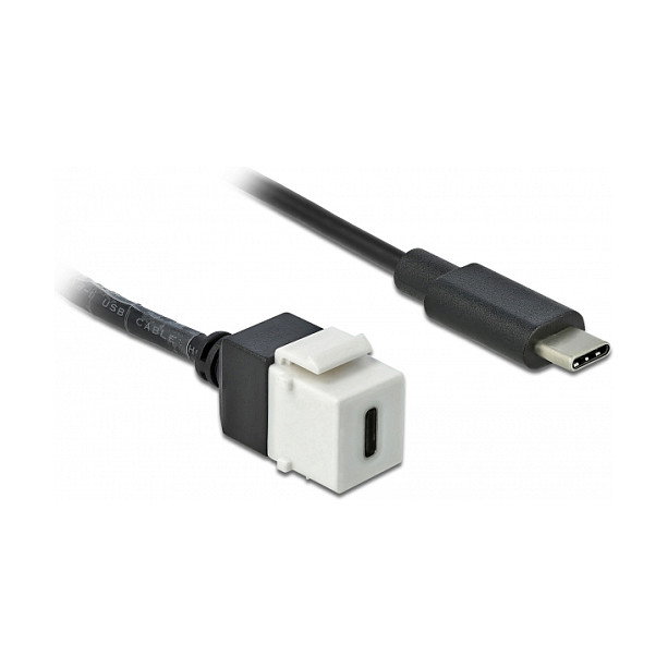 DeLOCK 86399 Módulo Keystone USB-C a USB-C 5 Gbps 25 cm DeLOCK 86399 Módulo Keystone USB-C a USB-C 5 Gbps 25 cm
