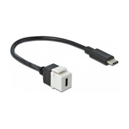 DeLOCK 86399 Módulo Keystone USB-C a USB-C 5 Gbps 25 cm