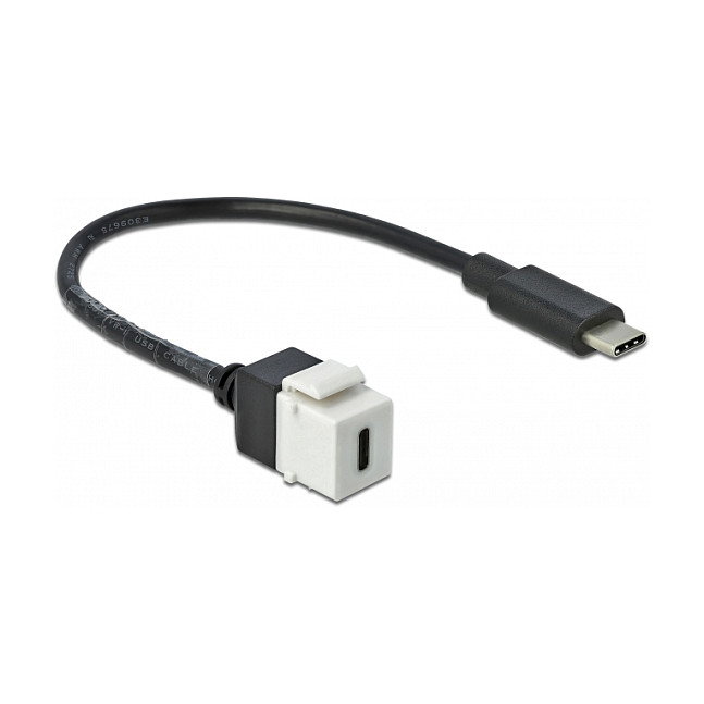 DeLOCK 86399 Módulo Keystone USB-C a USB-C 5 Gbps 25 cm DeLOCK 86399 Módulo Keystone USB-C a USB-C 5 Gbps 25 cm