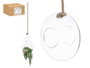 GIFTDECOR Jarrón Bola Colgar Cuerda Abombado Pequeño
