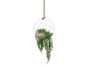 GIFTDECOR Jarrón Bola Colgar Cuerda Abombado Pequeño