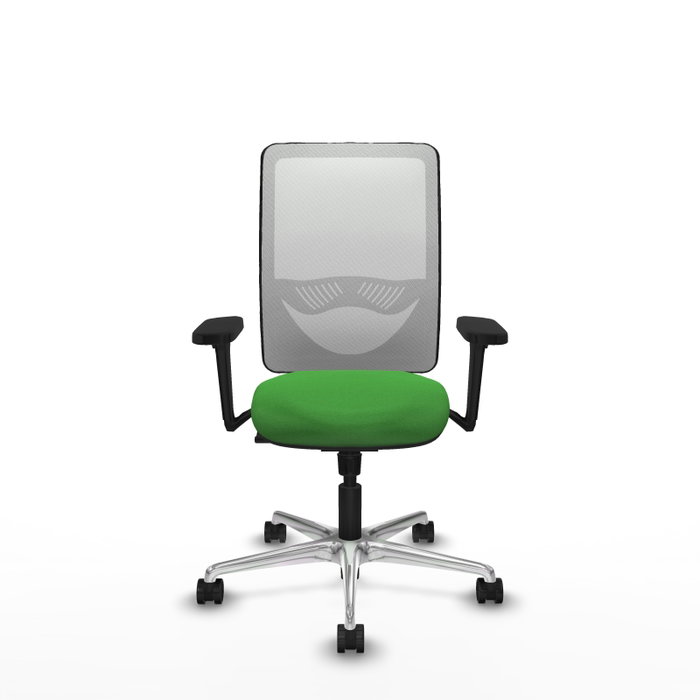 PIQUERAS Y CRESPO Silla de oficina Zulema con mecanismo Sincro, Verde y Blanco PIQUERAS Y CRESPO Silla de oficina Zulema con mecanismo Sincro, Verde y Blanco