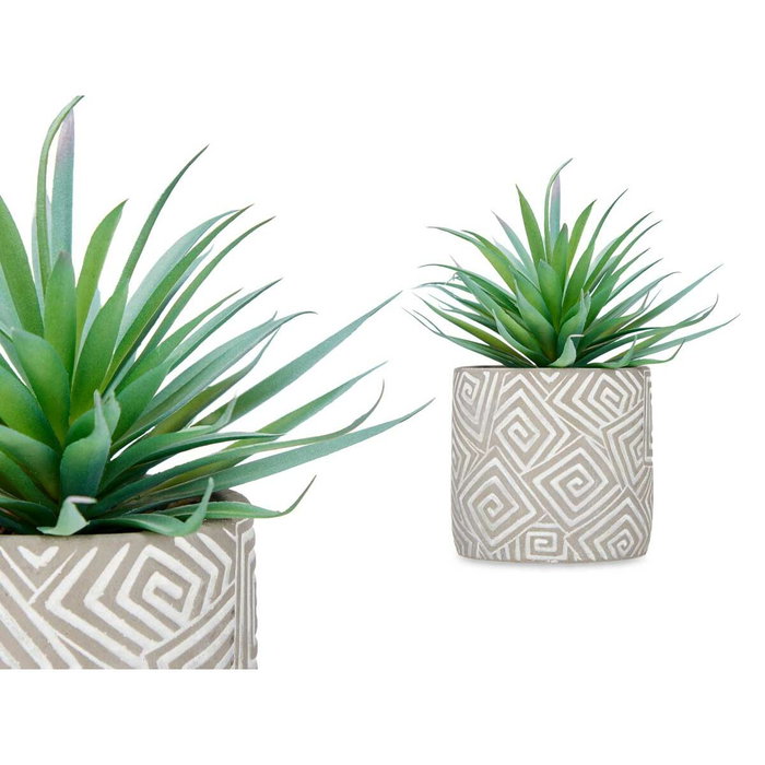 Planta Decorativa Ibergarden Madera Polietileno Plástico Cemento Suculenta 17 x 21 x 17 cm (8 Unidades)