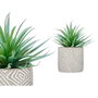 Planta Decorativa Ibergarden Madera Polietileno Plástico Cemento Suculenta 17 x 21 x 17 cm (8 Unidades)