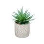 Planta Decorativa Ibergarden Madera Polietileno Plástico Cemento Suculenta 17 x 21 x 17 cm (8 Unidades)