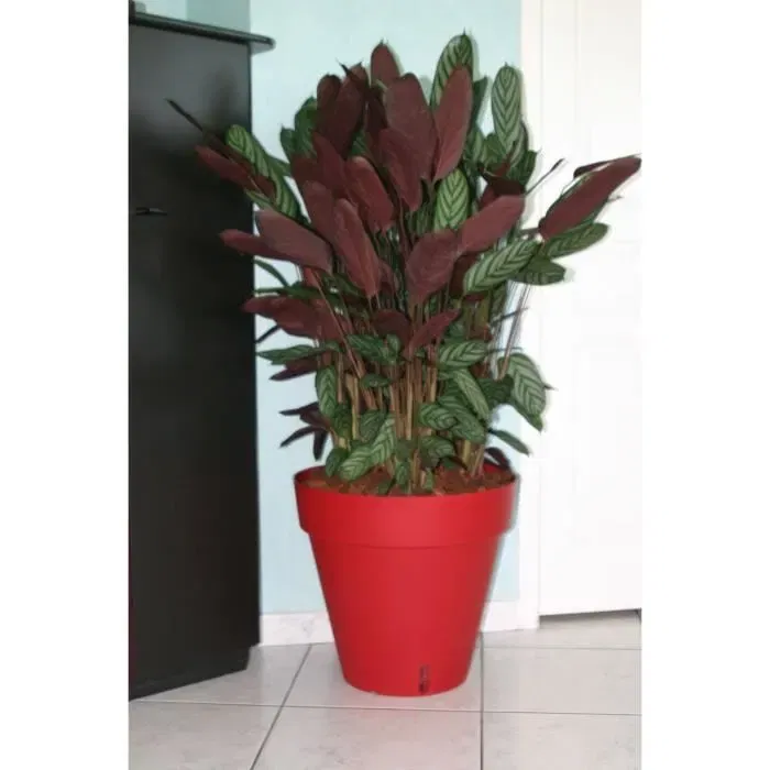 Jardinera redonda RIVIERA LOFT - Plástico - Diámetro 30 cm - Rojo
