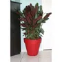 Jardinera redonda RIVIERA LOFT - Plástico - Diámetro 30 cm - Rojo