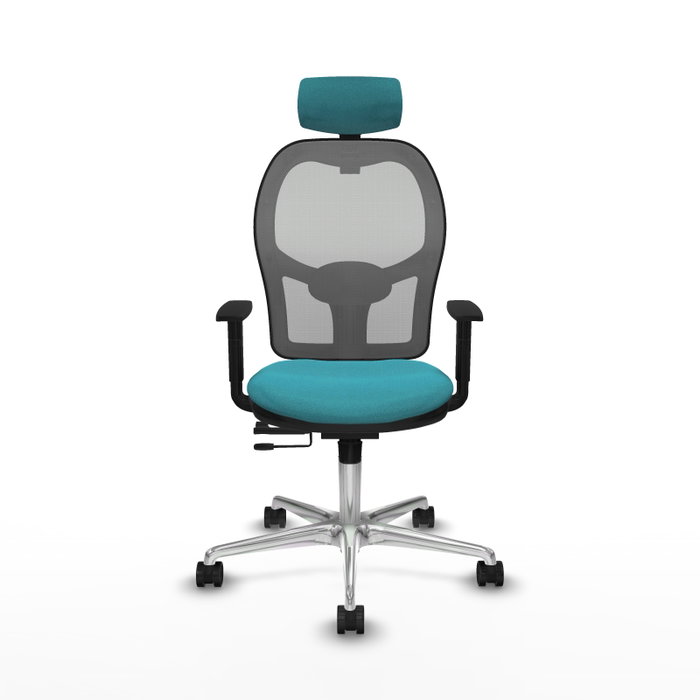 PIQUERAS Y CRESPO Silla de oficina Jorquera con mecanismo Sincro/Traslack, Tela Turquesa y Malla Gris PIQUERAS Y CRESPO Silla de oficina Jorquera con mecanismo Sincro/Traslack, Tela Turquesa y Malla Gris
