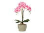 Ibergarden Orquidea Maceta Cemento Rosa 3 Varas 14 cm x 56 cm x 18 cm (Set de 4)