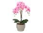 Ibergarden Orquidea Maceta Cemento Rosa 3 Varas 14 cm x 56 cm x 18 cm (Set de 4)