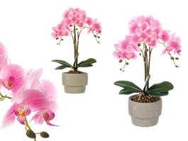Ibergarden Orquidea Maceta Cemento Rosa 3 Varas 14 cm x 56 cm x 18 cm (Set de 4)