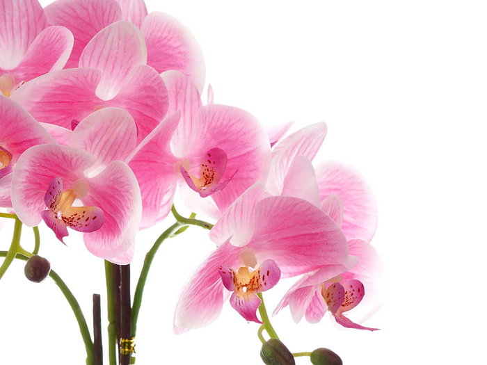 Ibergarden Orquidea Maceta Cemento Rosa 3 Varas 14 cm x 56 cm x 18 cm (Set de 4)