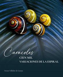 Caracoles. Cien mil variaciones de la espiral, Arturo Valledor de Lozoya - DOCE CALLES
