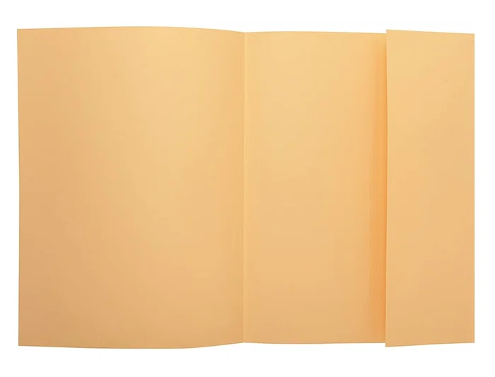 Exacompta Subcarpeta de cartulina Nature Future DIN A4 amarillo, 160 g, con solapa interior, certificado PEFC Exacompta Subcarpeta de cartulina Nature Future DIN A4 amarillo, 160 g, con solapa interior, certificado PEFC