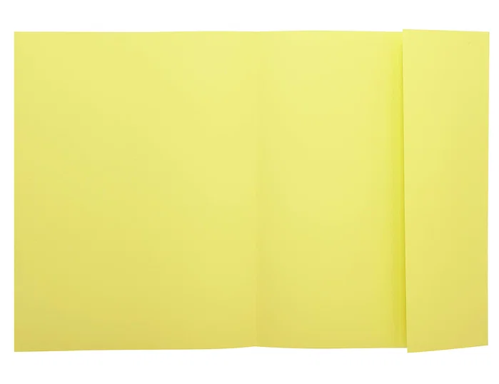 EXACOMPTA Subcarpeta de una solapa 160g A4 Amarillo claro EXACOMPTA Subcarpeta de una solapa 160g A4 Amarillo claro
