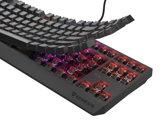 Genesis Thor 230 TKL Teclado Mecánico RGB Outemu Brown QWERTY Layout Polaco USB Negro