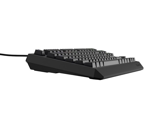 Genesis Thor 230 TKL Teclado Mecánico RGB Outemu Brown QWERTY Layout Polaco USB Negro