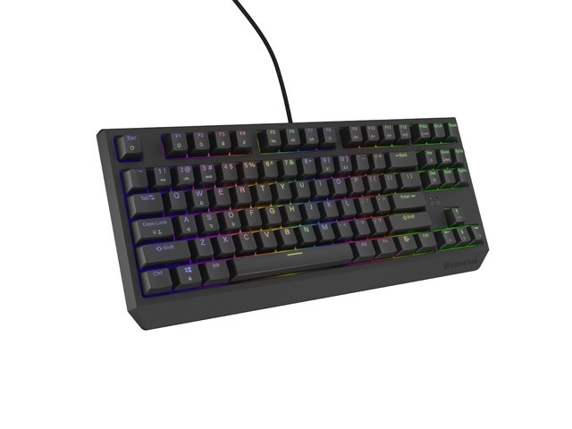 Genesis Thor 230 TKL Teclado Mecánico RGB Outemu Brown QWERTY Layout Polaco USB Negro