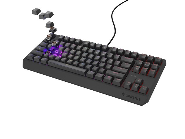 Genesis Thor 230 TKL Teclado Mecánico RGB Outemu Brown QWERTY Layout Polaco USB Negro