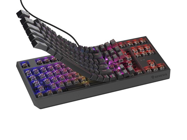 Genesis Thor 230 TKL Teclado Mecánico RGB Outemu Brown QWERTY Layout Polaco USB Negro