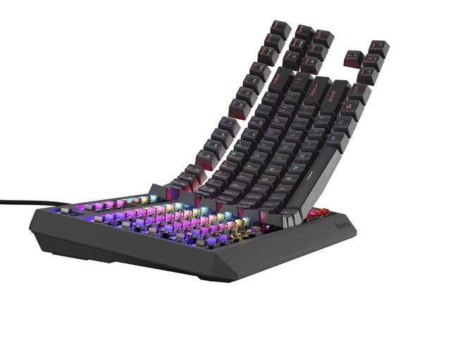 Genesis Thor 230 TKL Teclado Mecánico RGB Outemu Brown QWERTY Layout Polaco USB Negro