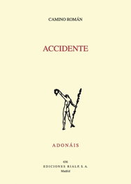Accidente, Camino Román Alvarez - RIALP