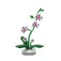 CADA Artist Set de construcción Planta de orquídea 237 piezas para mayores de 8 años CAD6948061931625
