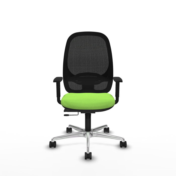 PIQUERAS Y CRESPO Silla de oficina Cilanco con mecanismo Sincro/Traslack, Pistacho y Negro PIQUERAS Y CRESPO Silla de oficina Cilanco con mecanismo Sincro/Traslack, Pistacho y Negro