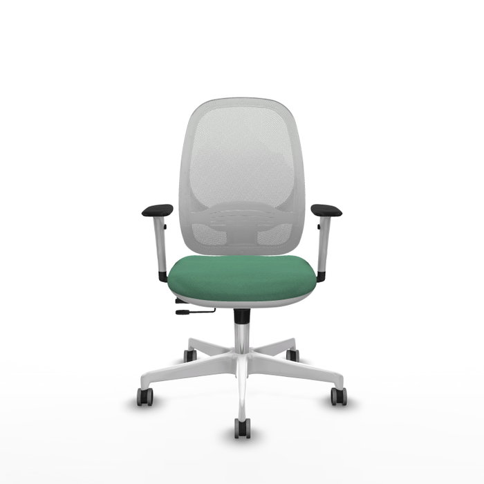 PIQUERAS Y CRESPO Silla de oficina Cilanco con mecanismo Sincro/Traslack, Verde esmeralda y Blanco PIQUERAS Y CRESPO Silla de oficina Cilanco con mecanismo Sincro/Traslack, Verde esmeralda y Blanco