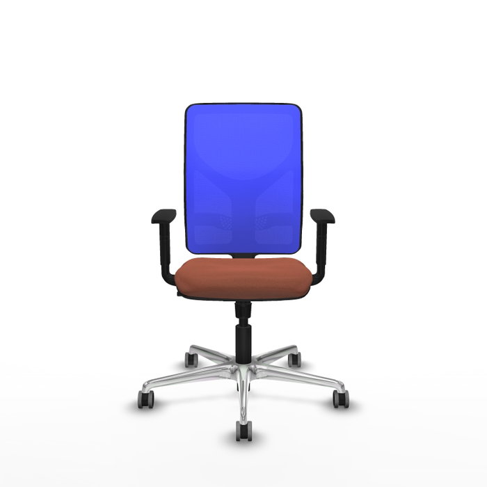 PIQUERAS Y CRESPO Silla de oficina Motilla con mecanismo Sincro, Tela Marrón y Malla Azul PIQUERAS Y CRESPO Silla de oficina Motilla con mecanismo Sincro, Tela Marrón y Malla Azul