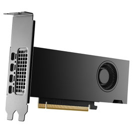 PNY RTX 2000 Ada 16 GB GDDR6