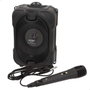 Color Baby Altavoz Karaoke con Micrófono, Luces y Cargador USB 80W