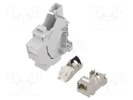 LAPP Conector RJ45 de 8 pines blindado recto para transferencia de datos