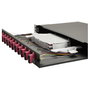 EQUIP Caja de empalme de fibra óptica 12-Port SC-Duplex OM4 1U