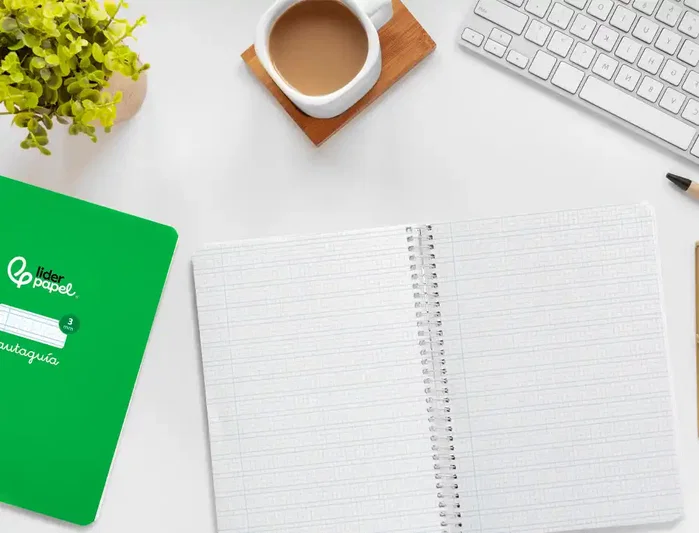 Liderpapel Cuaderno espiral A5 Pautaguía Tapa Dura 80 Hojas Papel 90gr Cuadro Pautado 3mm Verde