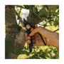 Fiskars Plus SmartFit P541 Tijeras de podar bypass naranja y negro