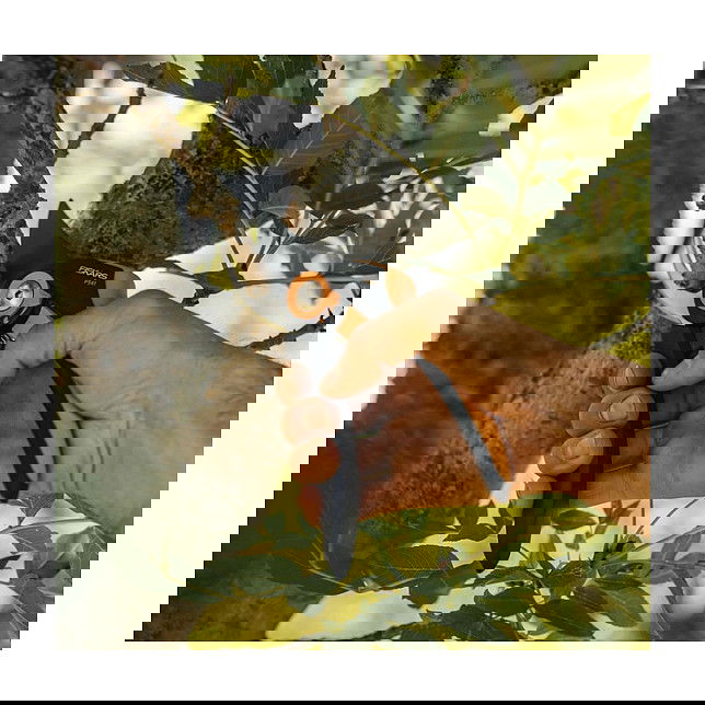 Fiskars P541 Tijera de podar Bypass Plus SmartFit para jardín, aluminio y acero, 201 mm, corte hasta 24 mm