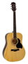 Richwood RD-12 Dreadnought Natural