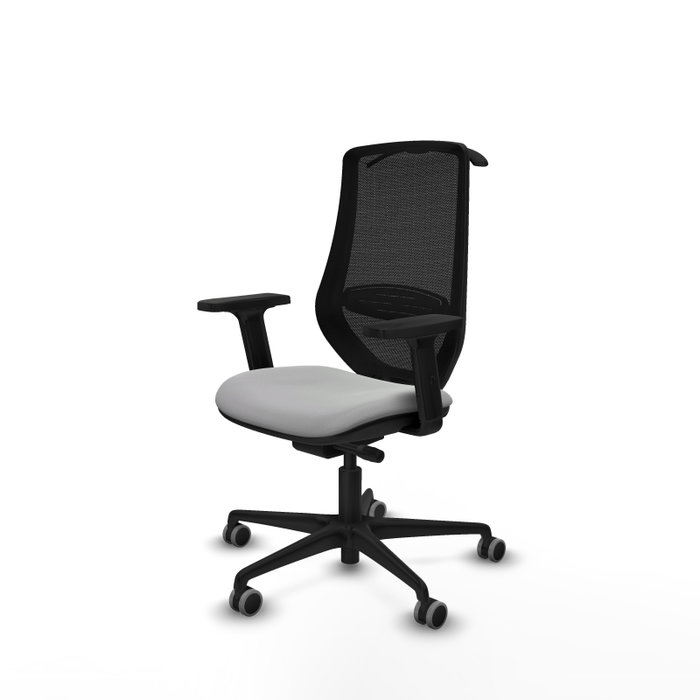 PIQUERAS Y CRESPO Silla de oficina Mardos con mecanismo Sincro/Traslack, Gris claro y Negro PIQUERAS Y CRESPO Silla de oficina Mardos con mecanismo Sincro/Traslack, Gris claro y Negro