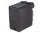 TELEMECANIQUE SENSORS Presostato XMP G1/4 pulgadas