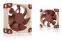 NOCTUA NF-A8 PWM Ventilador de 8 cm Marrón/Beige